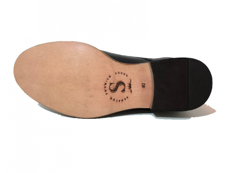 451-0733 Senator dansskor