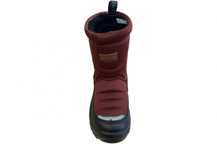 414-1501-21 Gulliver