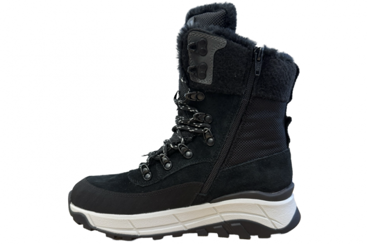 W0066-00 RiekerEvolution