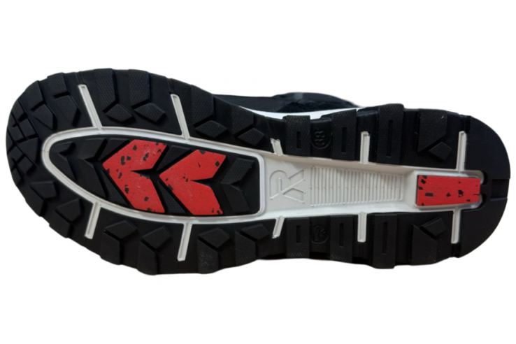 W0066-00 RiekerEvolution