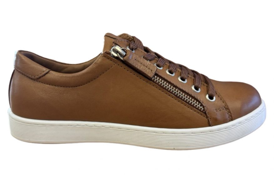 0341086-201 Charlotte