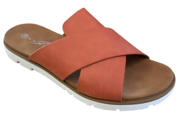 246CHLOE Lunar
