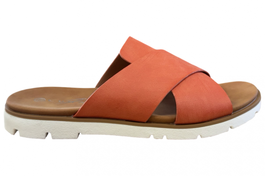 246CHLOE Lunar