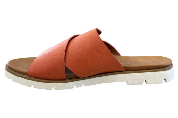 246CHLOE Lunar
